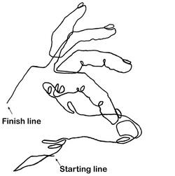Contour Lines