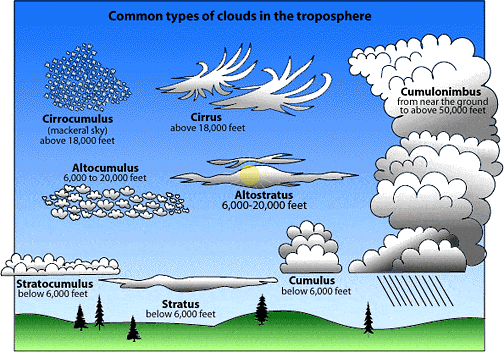 Graphic Sources