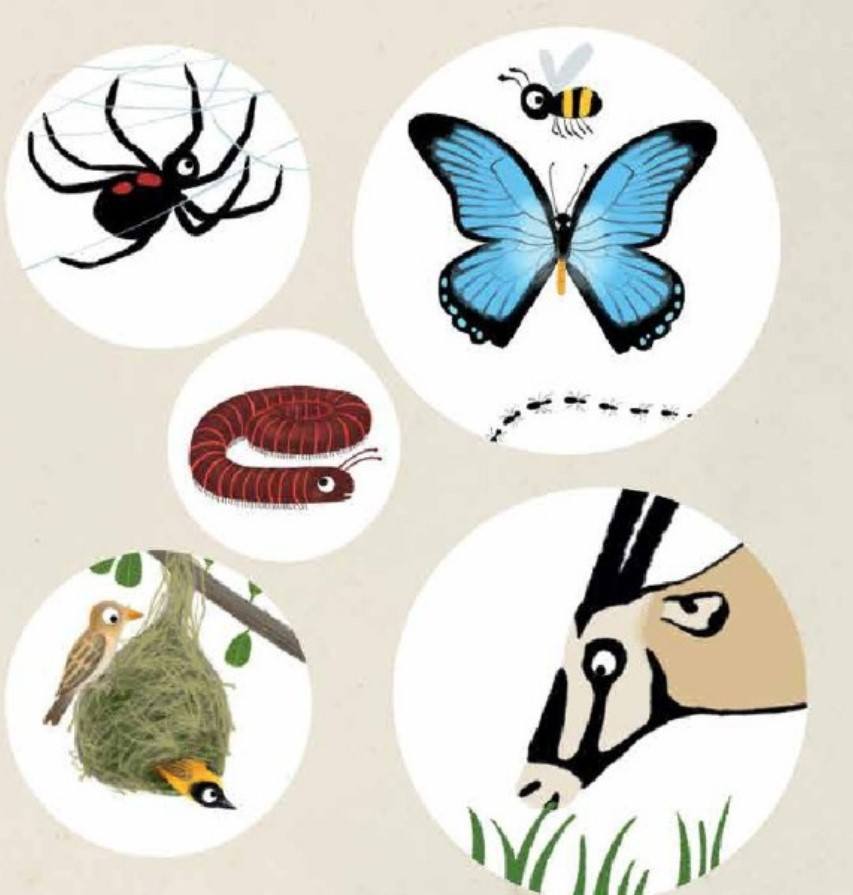 Reading fluency: Circles