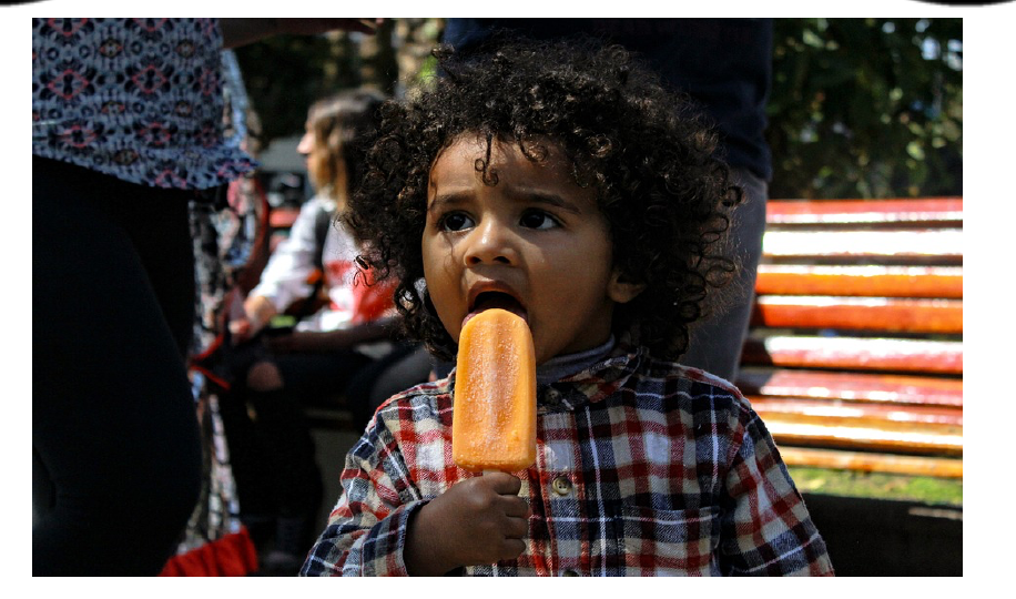 Main Idea Quiz: Identifying Central Themes