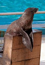 Identifying Action Verbs