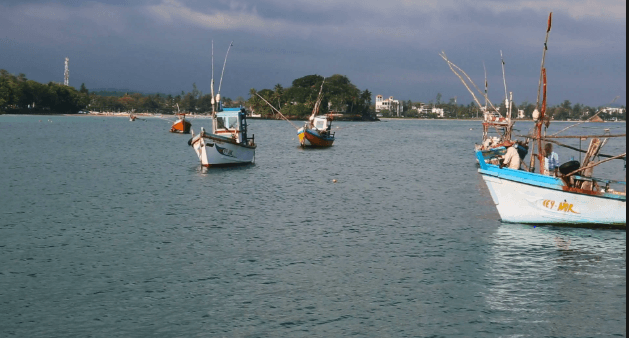 Comparing and Contrasting Fishing Stories