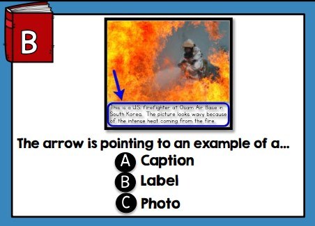 Non-fiction Text Features