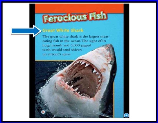 Author's Purpose Quizizz