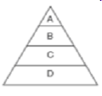 Review for Energy Pyramid