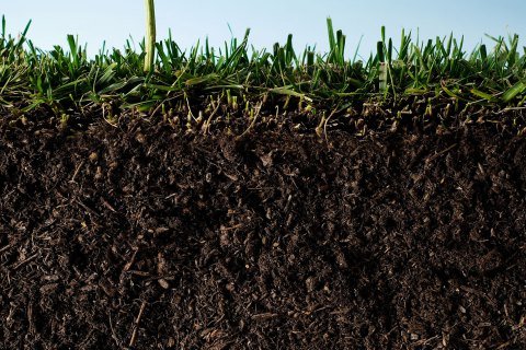 Soil Texture and Soil Structure Review 