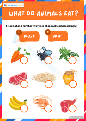 What Do Animals Eat Worksheet