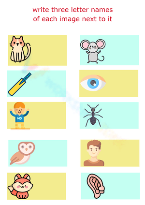 Activity Book_Match three Letter words