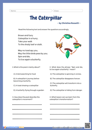 The Caterpillar Reading Worksheet