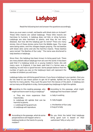 Ladybugs Reading Worksheet